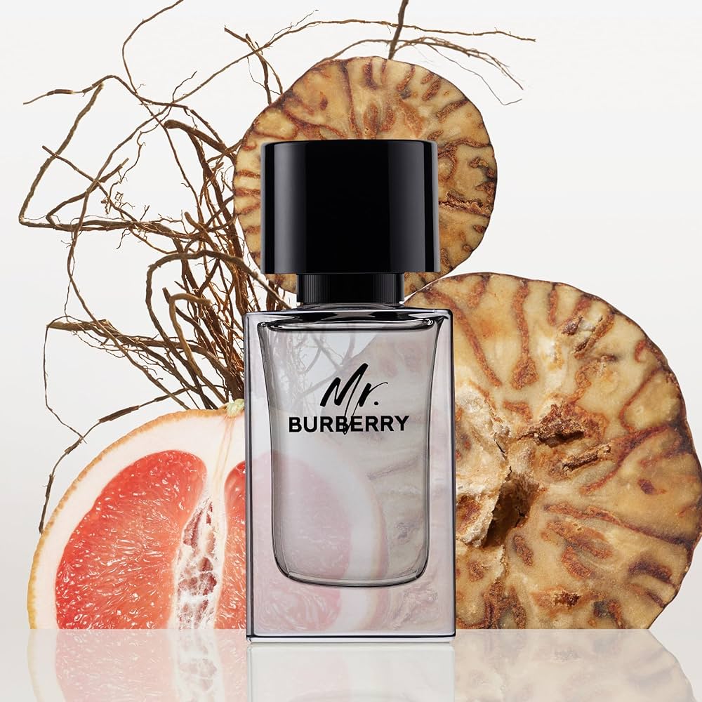 Burberry Mr Burberry EDT 100ml para Hombre