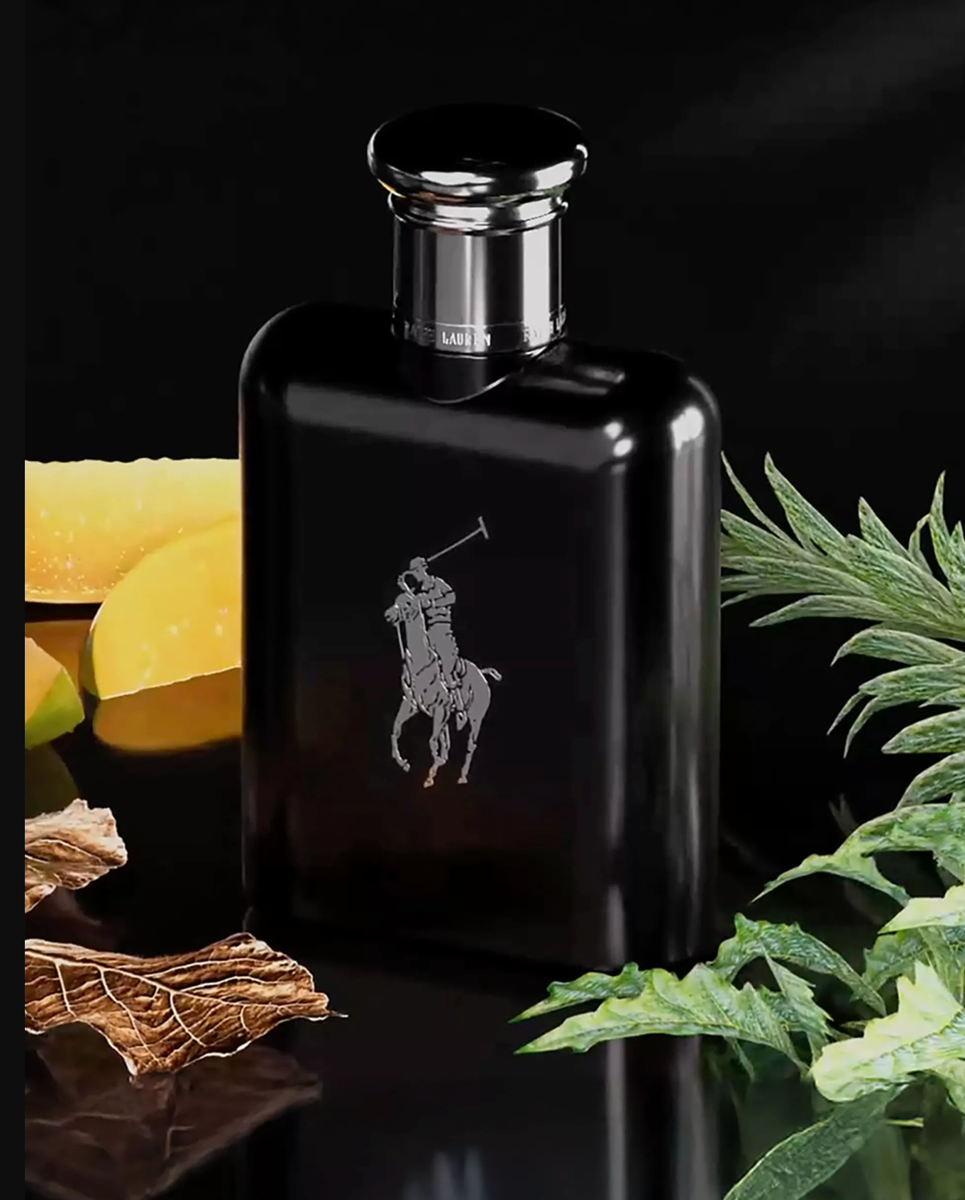 Perfume Ralph Lauren Polo Black Men Edt 125ml