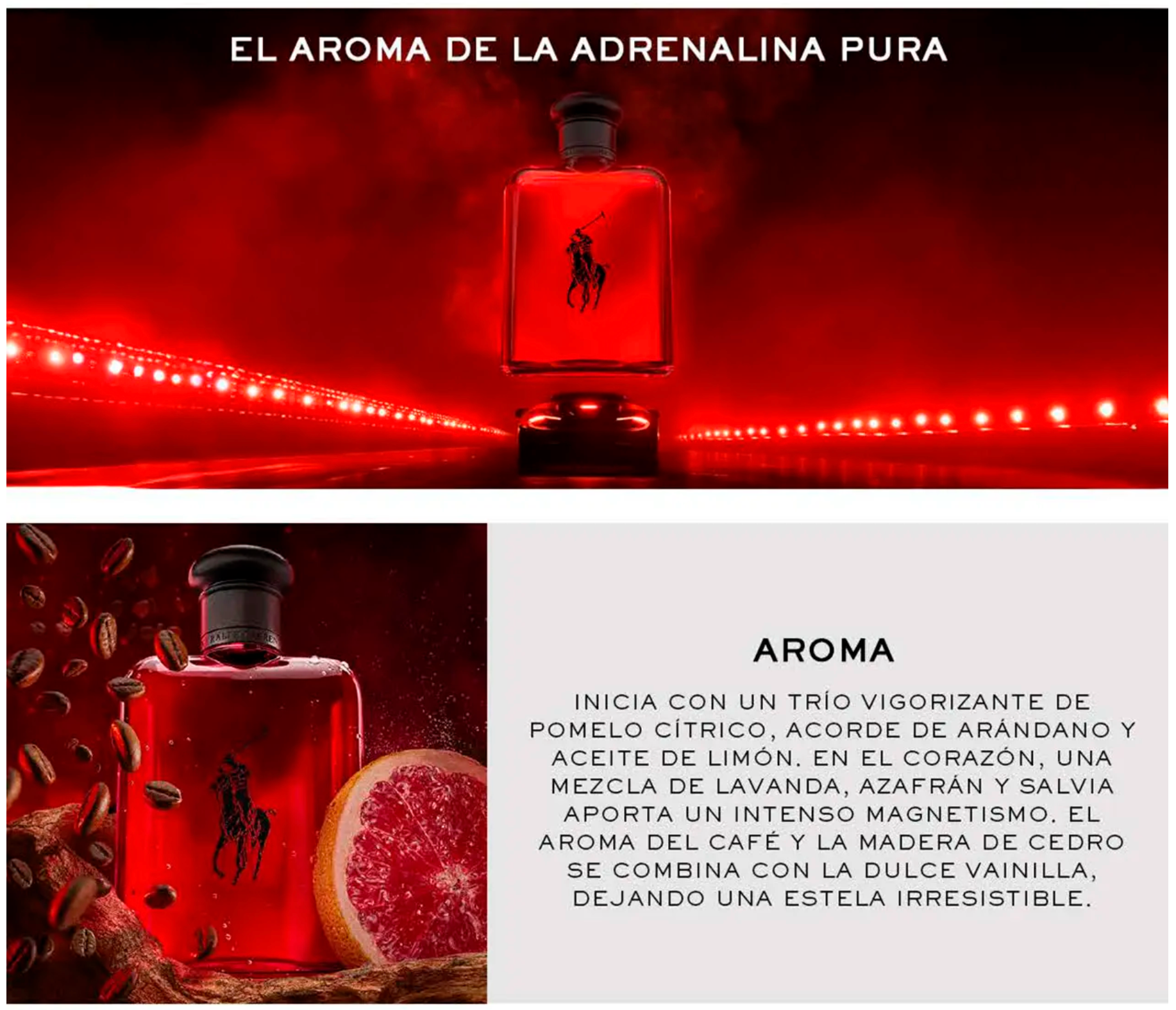 Perfume Ralph Lauren Polo Red Men Edt 40ml