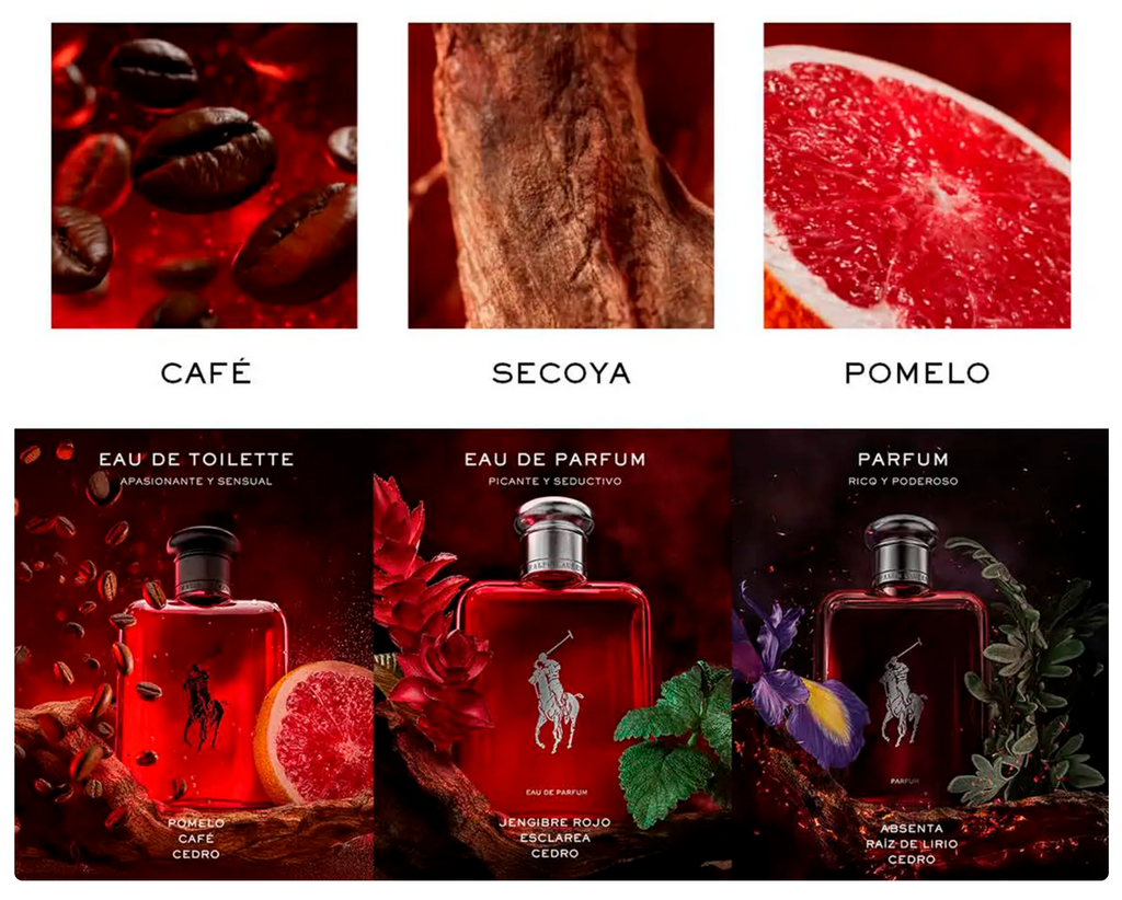 Perfume Ralph Lauren Polo Red Men Edt 40ml