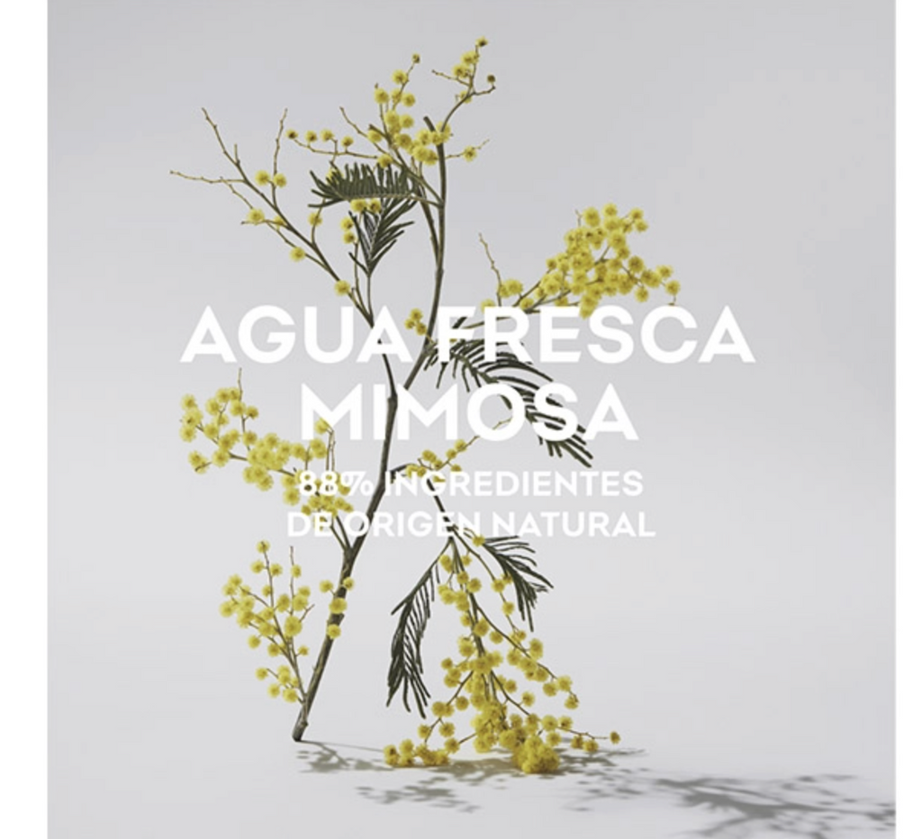 Adolfo Dominguez Agua Fresca Mimosa Coriandro Edt 120ml