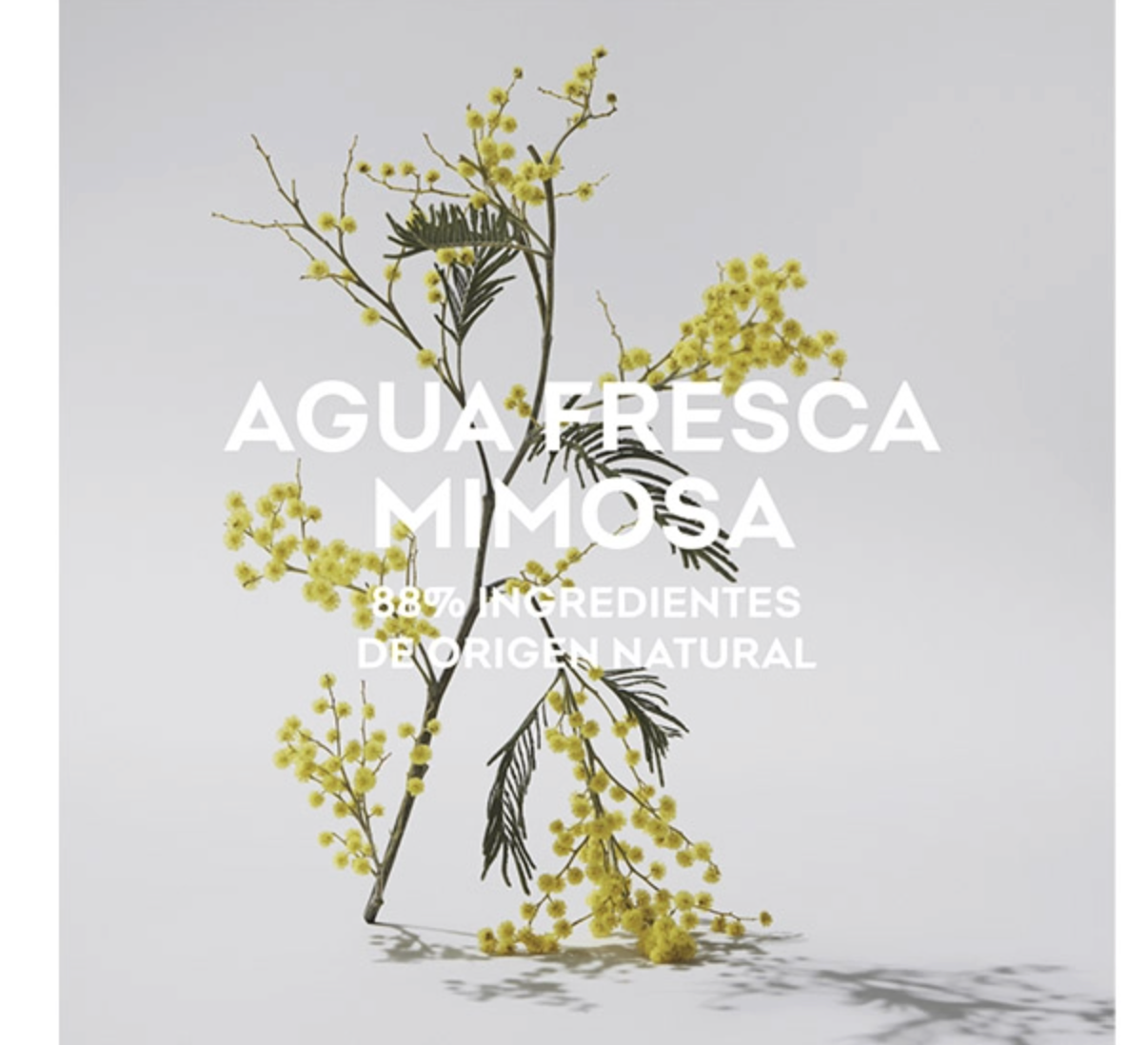 Adolfo Dominguez Agua Fresca Mimosa Coriandro Edt 120ml