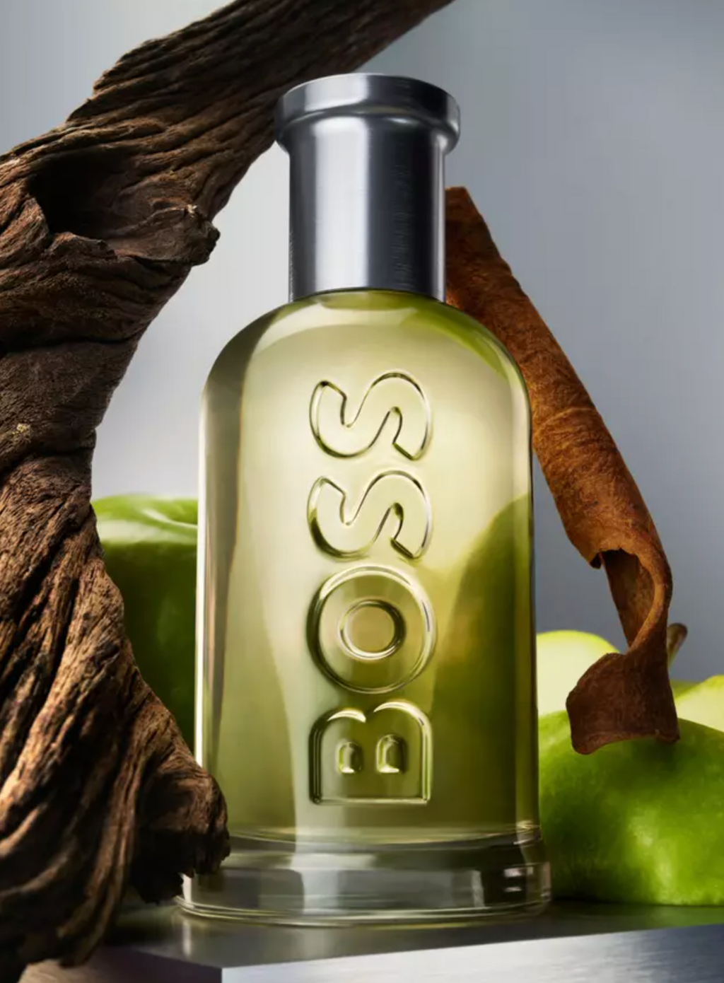 Hugo Boss Bottled Men Edt 100ml