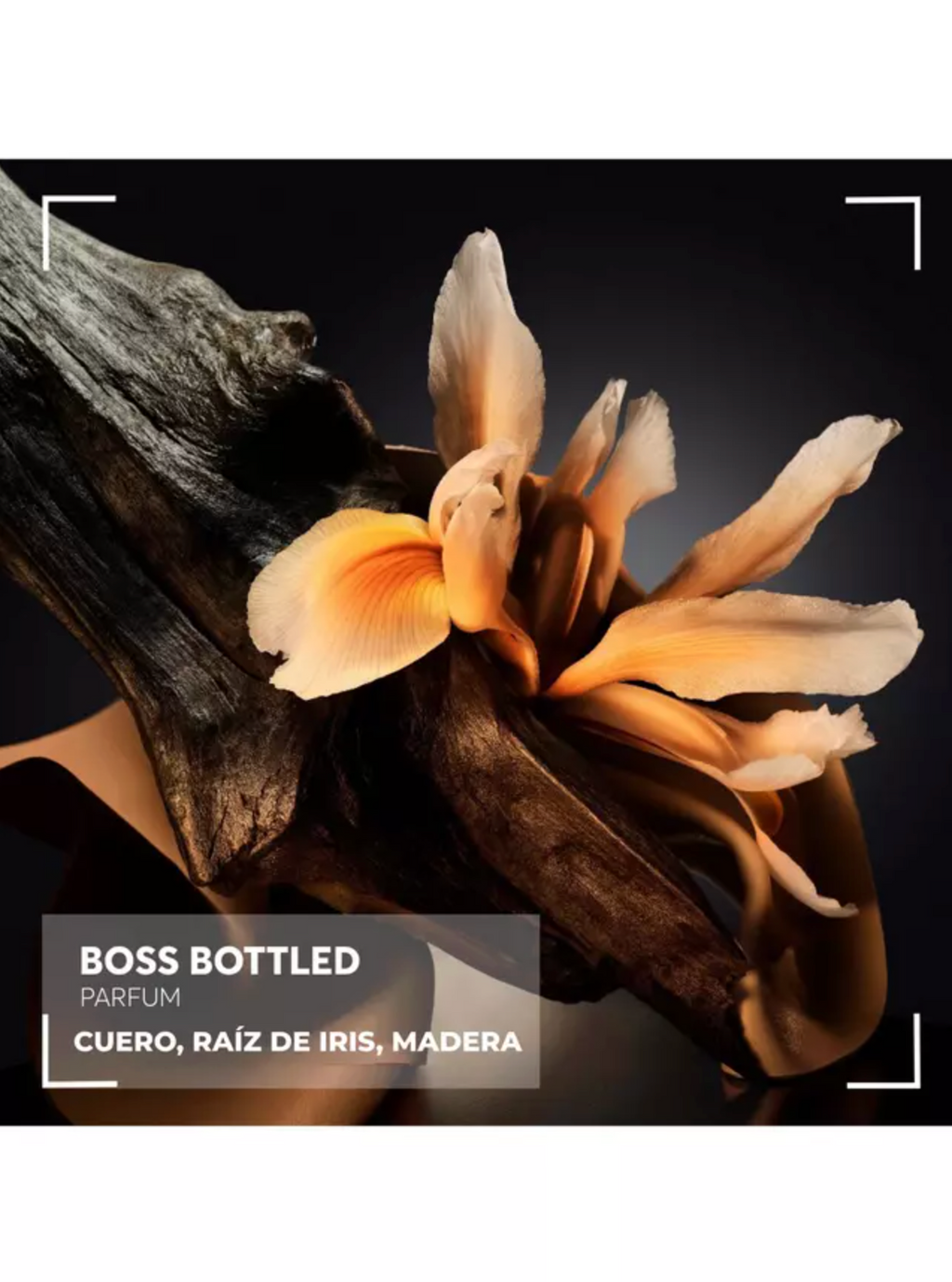 Hugo Boss Bottled Parfum Men 100ml