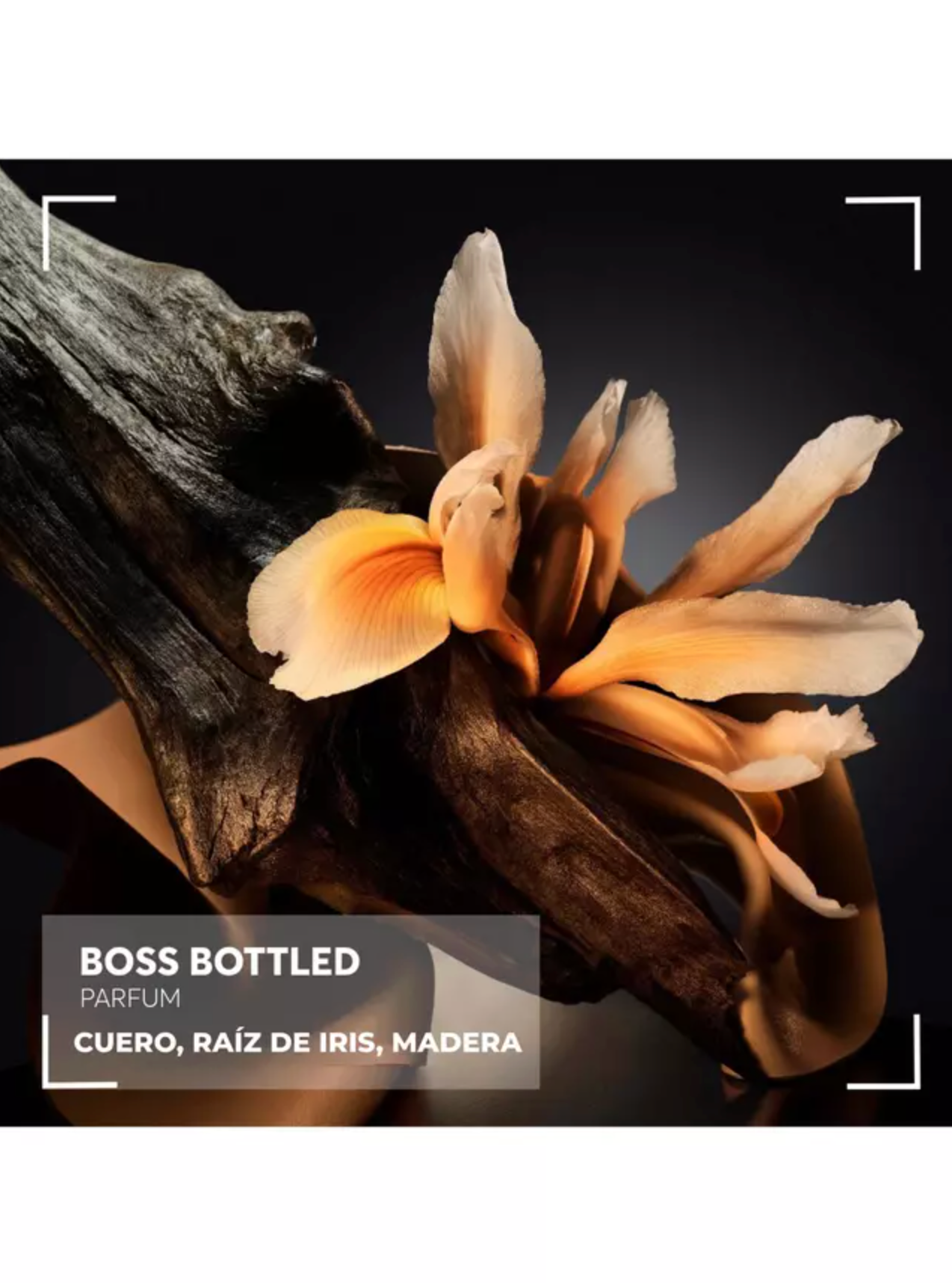 Hugo Boss Bottled Parfum Men 100ml + 10ml + Shower gel 100ml