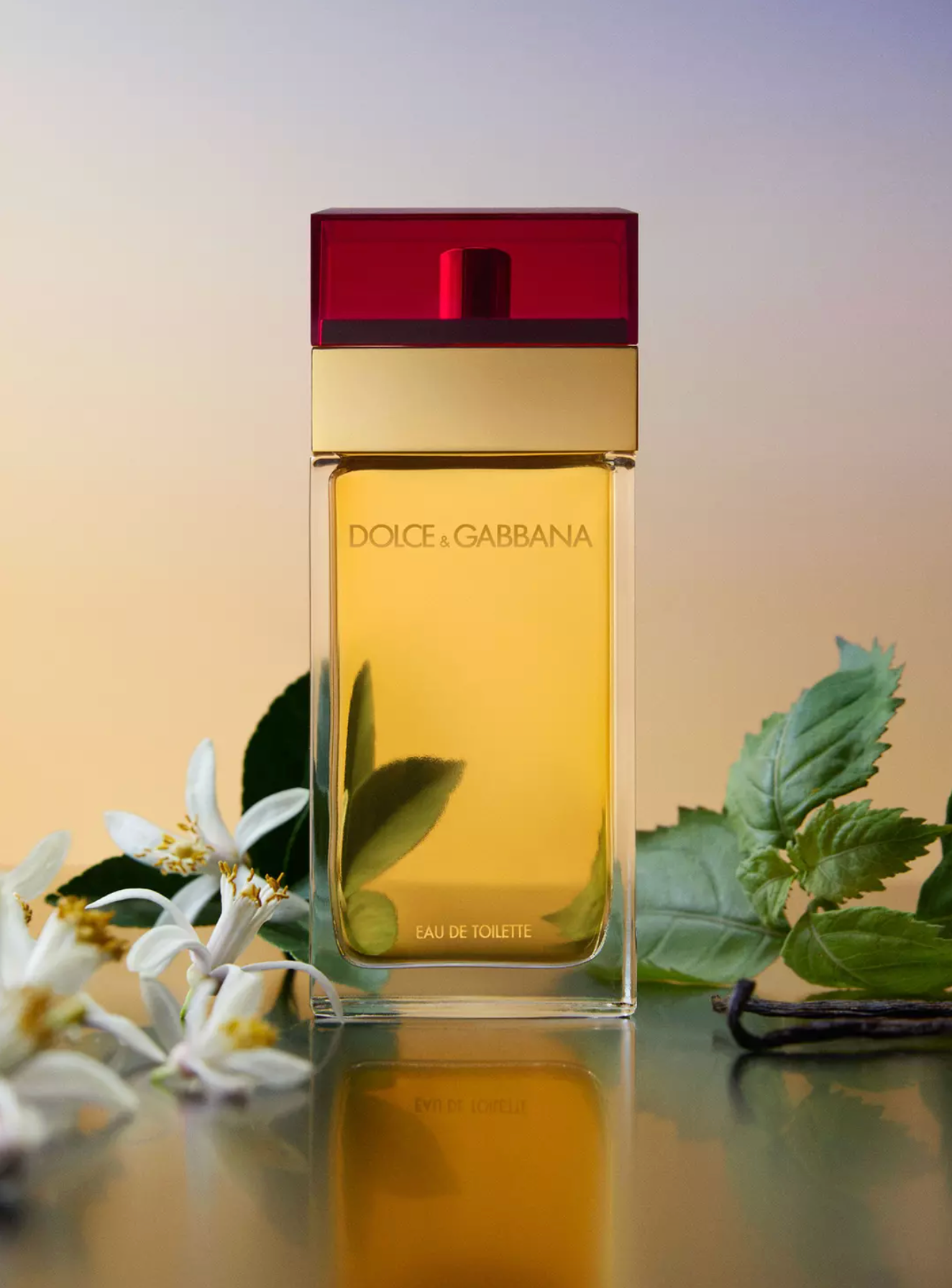 Dolce & Gabbana Pour Femme Edt 100ml Tester