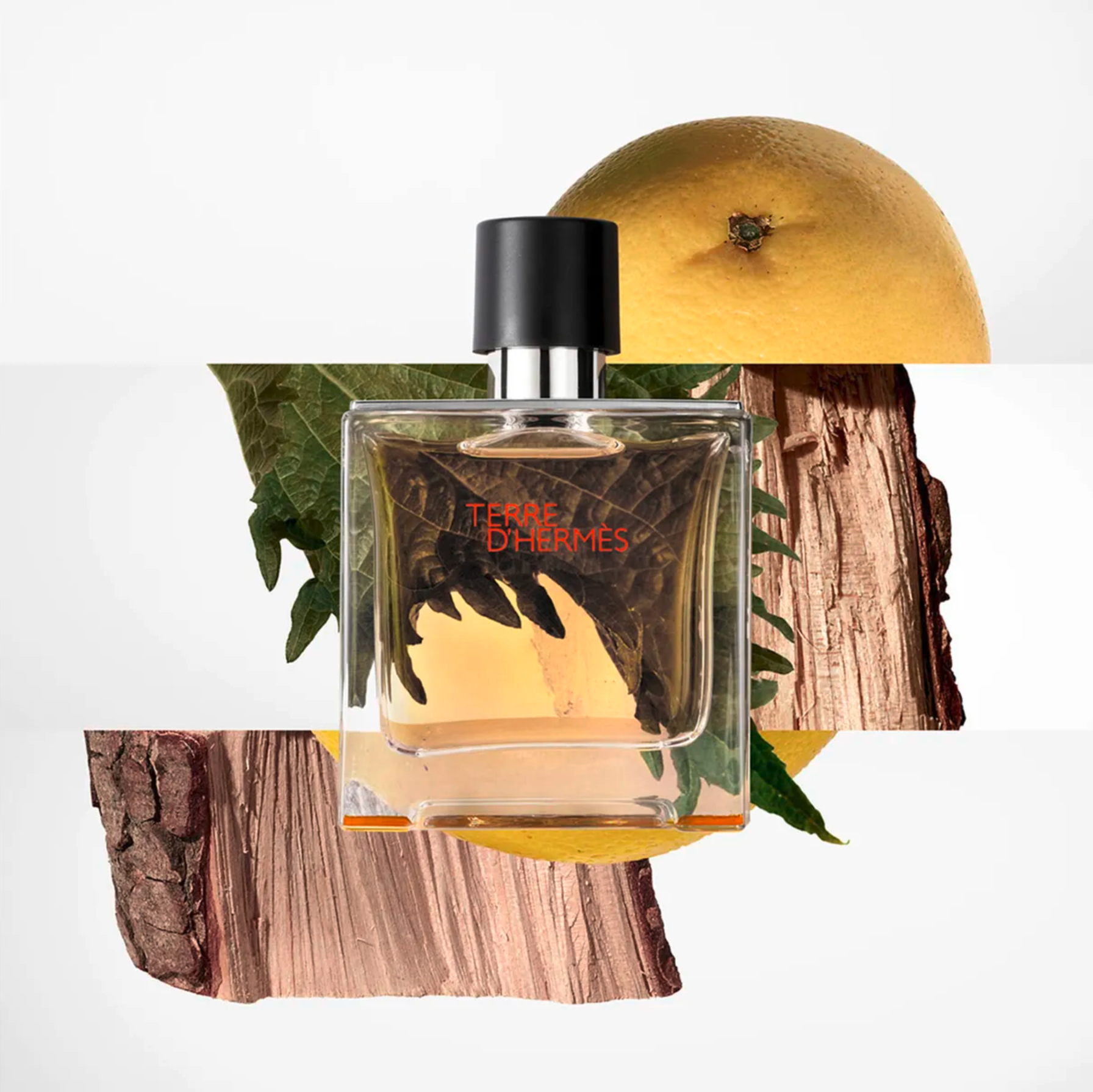 Hermès Terre d'Hermes Parfum 75ml Pure Parfum