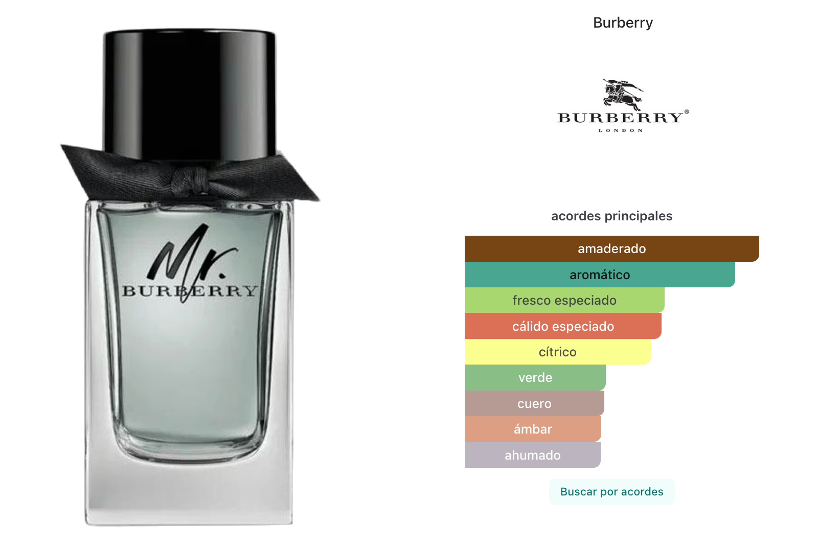Burberry Mr Burberry Edt 100ml