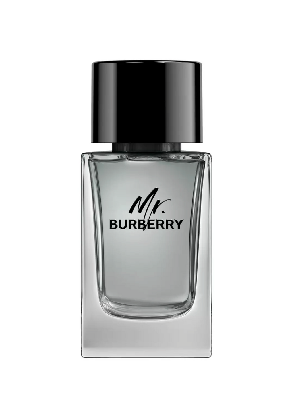 Burberry Mr Burberry Edt 100ml