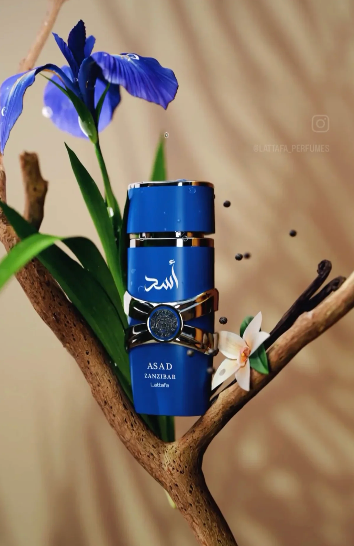 Lattafa Asad Zanzibar Edp 100ml