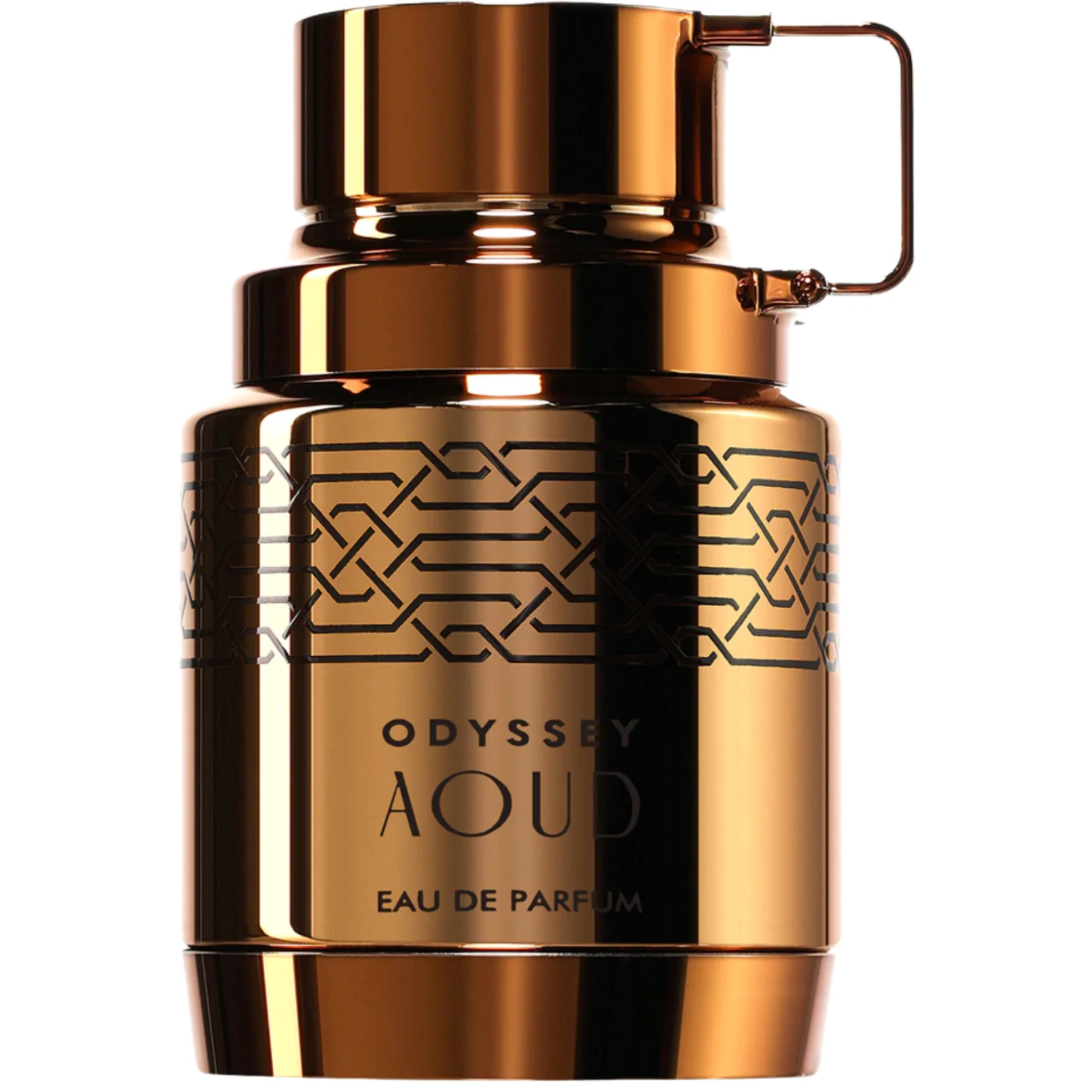 Armaf Odyssey Aoud EDP 100ml