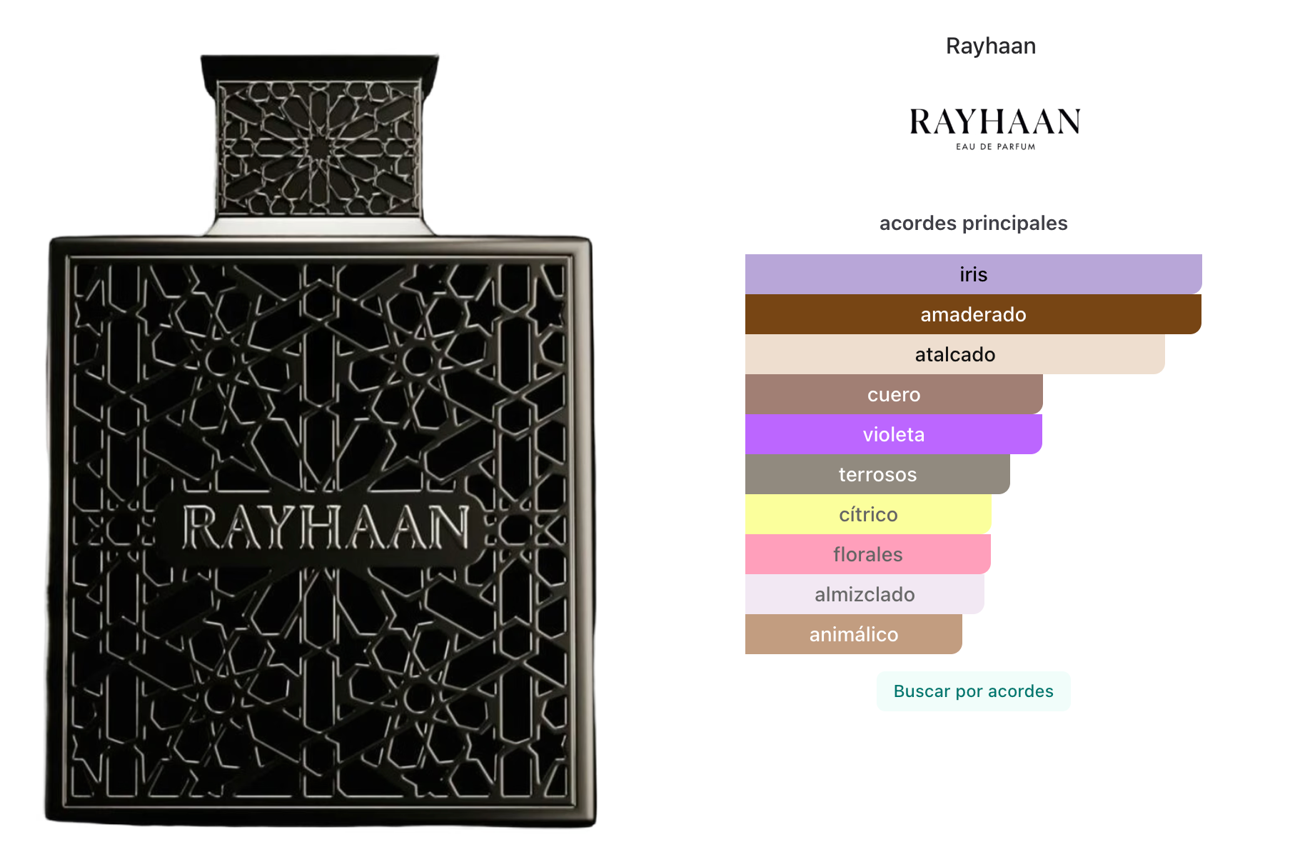 Rayhaan Obsidian Men EDP 100ml