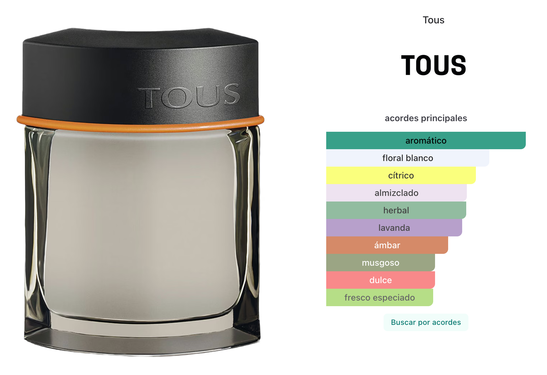 Tous Man Intense EDT 100ml